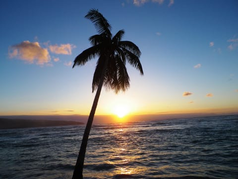 Beach nearby, white sand