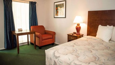 Comfort Single Room, 1 Queen Bed, Non Smoking | Individually furnished, desk, laptop workspace, blackout drapes
