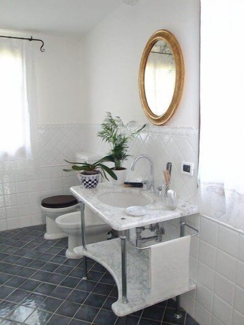 Shower, hair dryer, bidet