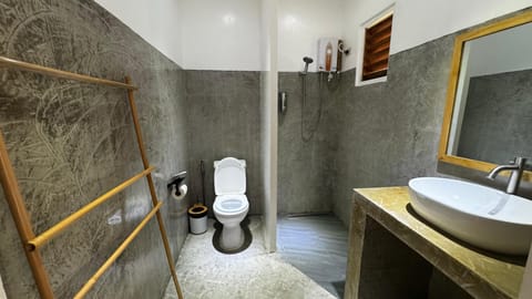 Deluxe Double Room | Bathroom | Shower, toilet paper