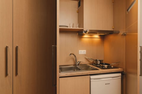 Junior Apartment, Balcony, City View | Private kitchen | Electric kettle