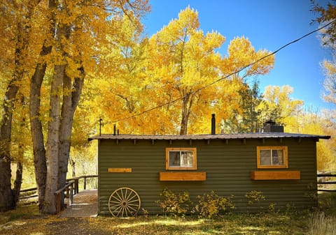 This beautiful cabin sleep4 four and is right on the bank of the South Arkansas River