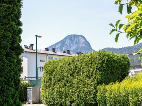 Immediate Surroundings [summer] (&lt;1 km)