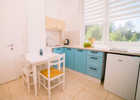 Panoramic Studio Suite | Private kitchen | Mini-fridge, stovetop, cleaning supplies