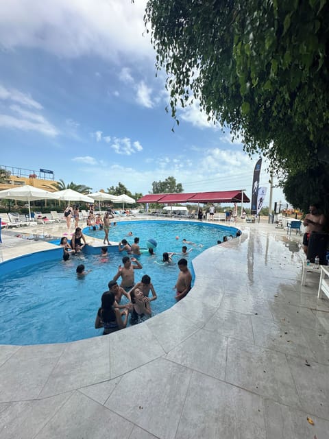 Seasonal outdoor pool, pool umbrellas, sun loungers