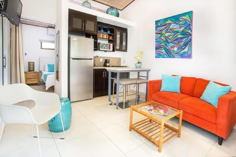 Deluxe Apartment, 1 Bedroom, Non Smoking | Private kitchen | Microwave, coffee/tea maker, eco-friendly cleaning products