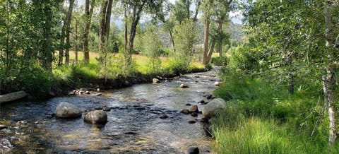 300' of private river access in gold medal fishing waters. Bring your fishing pole!