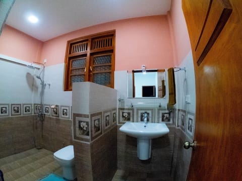 Deluxe Double Room, 1 Queen Bed, Non Smoking, Private Bathroom | Bathroom | Shower, rainfall showerhead, hair dryer, towels