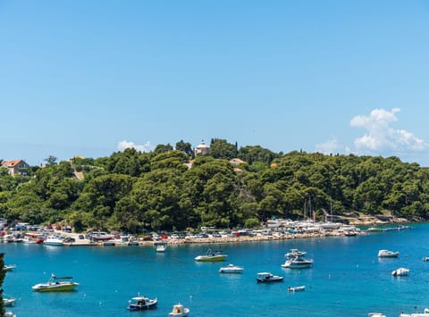 Apartment (Apartment Sunset Cavtat-Two Bedroom A) | View from property