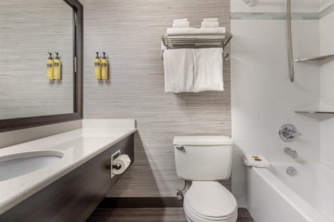 Combined shower/tub, free toiletries, hair dryer, towels