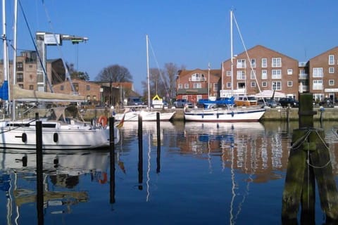 Immediate Surroundings [summer] (&lt;1 km)