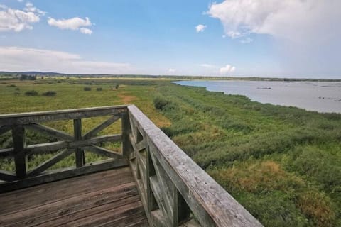 Surroundings [summer] (1-5 km)