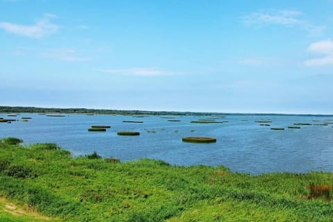 Surroundings [summer] (1-5 km)