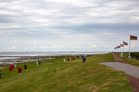 Surroundings [summer] (1-5 km)