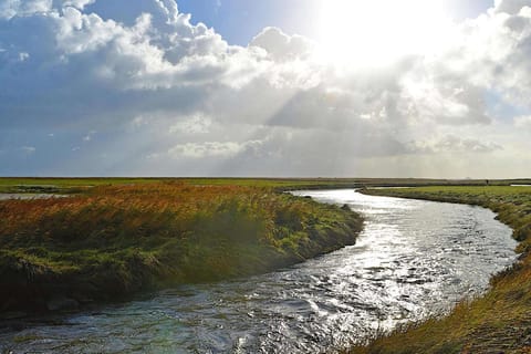 Region [summer] (&gt;5 km)