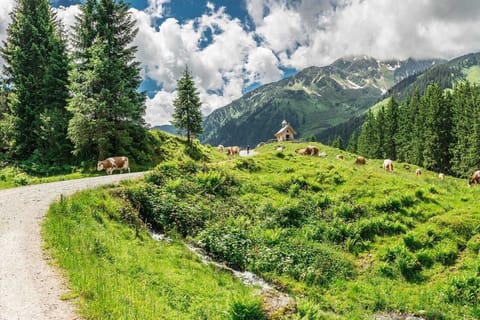 Surroundings [summer] (1-5 km)