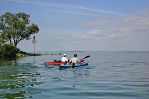 Region [summer] (&gt;5 km)