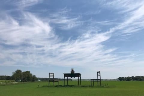 Region [summer] (&gt;5 km)