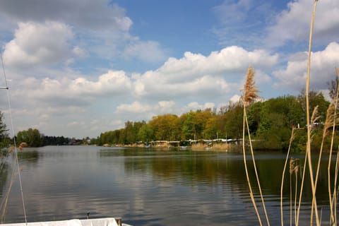 Immediate Surroundings [summer] (&lt;1 km)