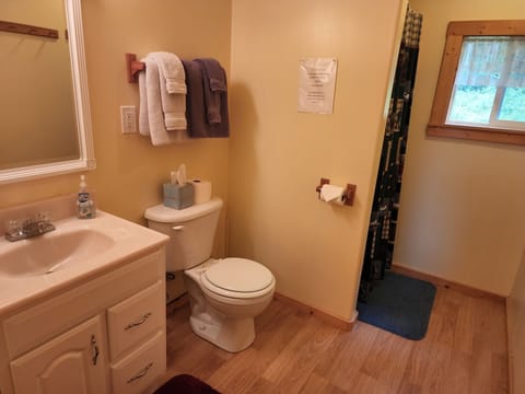 Cabin, 1 Bedroom, Lake View | Bathroom | Shower, free toiletries, hair dryer, towels