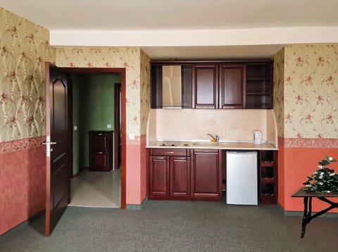 Comfort Apartment, Balcony, Park View | Private kitchen | Fridge, stovetop, cookware/dishes/utensils