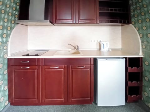 Comfort Apartment, Balcony, Park View | Private kitchen | Fridge, stovetop, cookware/dishes/utensils