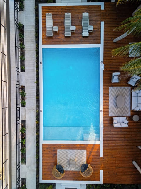 Outdoor pool, sun loungers