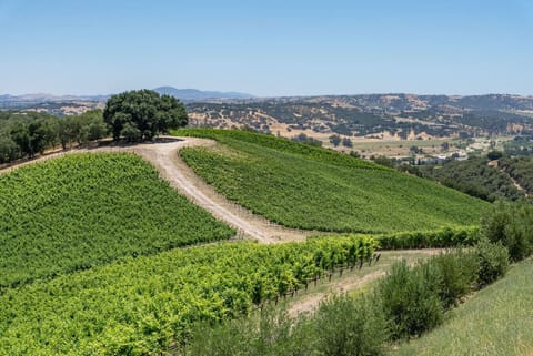 Surrounded by lush vineyards at The Story, 1000 Kiler Canyon Road, a true wine country escape.