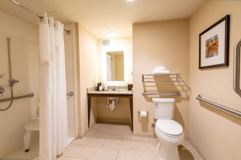 Standard Room, 1 King Bed, Accessible (Communications, Roll In Shower) | Bathroom | Free toiletries, hair dryer, towels