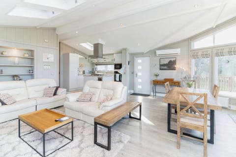 Leather motorised recliners and AC