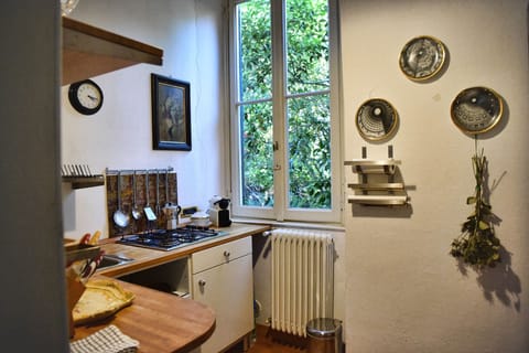 Apartment, Lake View | Private kitchen | Fridge, microwave, stovetop, dishwasher