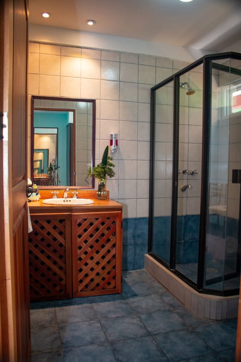 Superior Double Room | Bathroom | Shower, free toiletries, hair dryer, towels