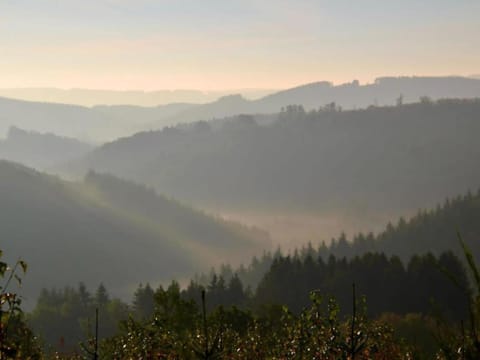 Region [summer] (>5 km)