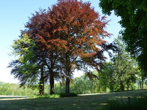 Region [summer] (>5 km)