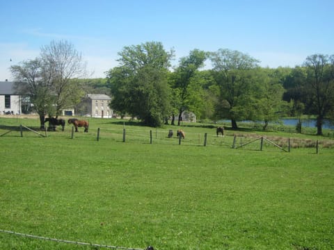 Region [summer] (>5 km)