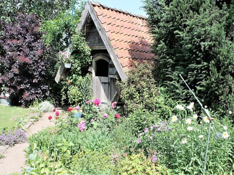 View from Holiday Home [summer]