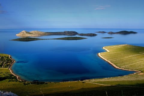 Region [summer] (&gt;5 km)