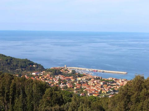 Region [summer] (>5 km)