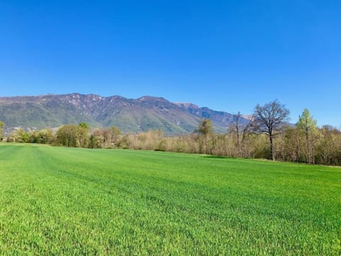 Region [summer] (>5 km)