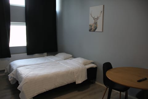 Standard Double Room | Soundproofing, free WiFi, bed sheets