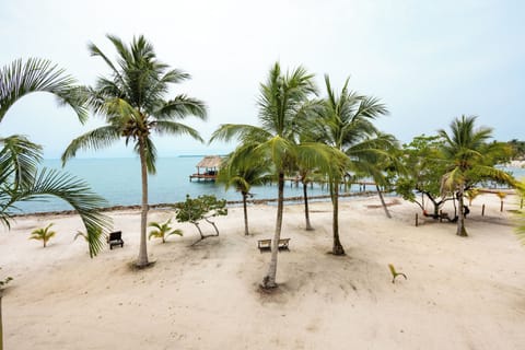 On the beach, white sand, sun loungers, beach towels