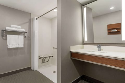 Room, 1 King Bed, Accessible | Bathroom shower