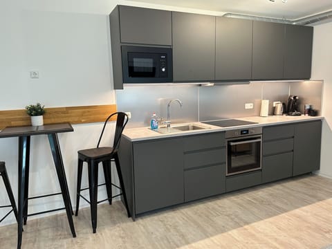 Studio | Private kitchen | Fridge, microwave, oven, stovetop