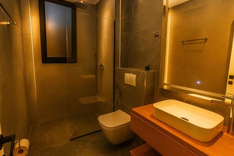 Hair dryer, children's robes, bidet, towels