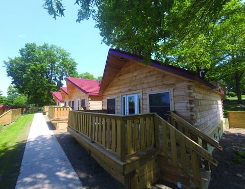Premium Cabin, 2 Bedrooms, Kitchen, Lake View | Terrace/patio