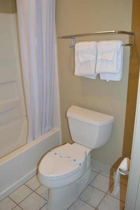 Combined shower/tub, hair dryer, towels