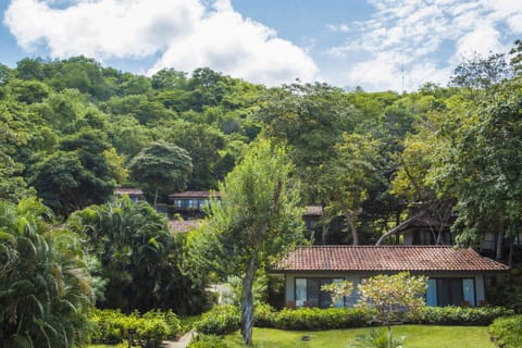 Bungalow Suite Double Tropical View | Property grounds