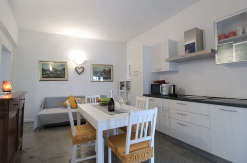 Apartment, City View | Private kitchen | Full-size fridge, microwave, oven, stovetop