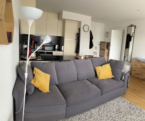 Very comfortable sofa-bed