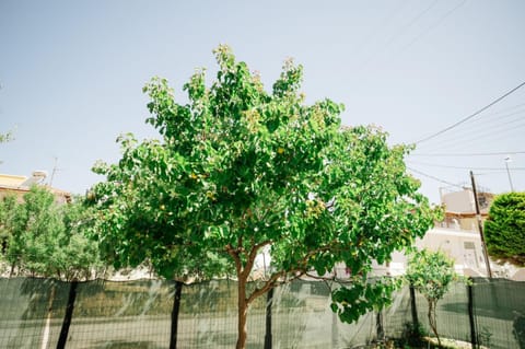 House | 4 bedrooms, desk